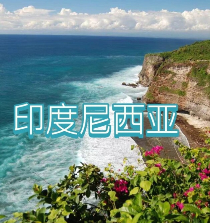 国国际电商(印尼)产业博览会pg电子模拟器试玩2025中(图3)