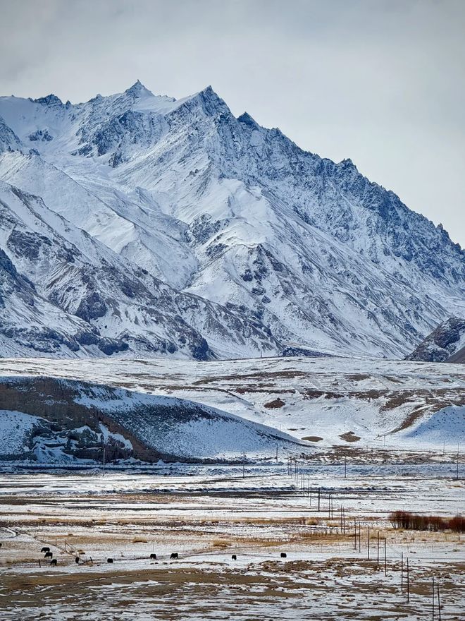 旅行社实测：问疆行999分登顶避坑指南全解析pg电子免费模拟器游戏2026喀什十大优质(图3)